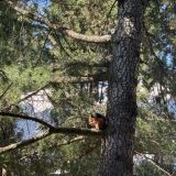 Гостевой дом Версаль 2, фото гостя