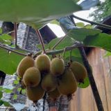 Гостиница Форт Эврика, фото гостя