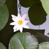 Гостиница Форт Эврика, фото гостя