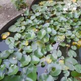 Гостиница Форт Эврика, фото гостя