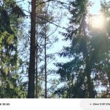Загородный отель Комарово, фото гостя
