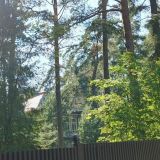 Загородный отель Комарово, фото гостя