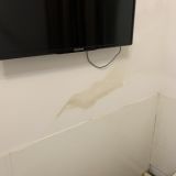 Апартаменты На Муринском проспекте, фото гостя