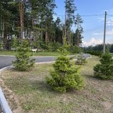 Гостиница Риони корпус 2, фото гостя