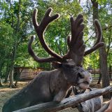 Самарская область, фото отдыхающего в июле