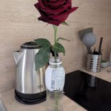 Апарт-отель Мой Питер на Чехова, фото гостя