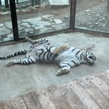 Геленджик, фото отдыхающего в июле