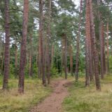 Отель Черничный берег, фото гостя