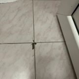 Отель Дубай, фото гостя