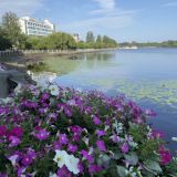 Выборг, фото отдыхающего в августе