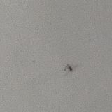 Гостевой дом Морской Бриз by Sun City Hotels, фото гостя