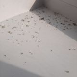 Апартаменты Sweet home Ulyanovsk, фото гостя