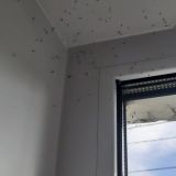 Апартаменты Sweet home Ulyanovsk, фото гостя