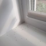 Апартаменты Sweet home Ulyanovsk, фото гостя