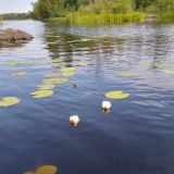 Гостевой дом Беличье, фото гостя