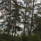 Гостевой дом Беличье, фото гостя