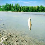 Жилой комплекс Время Счастья, фото гостя