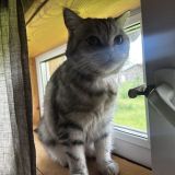 Коттедж Окулова заимка, фото гостя