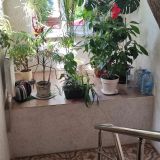 Отель Астра, фото гостя