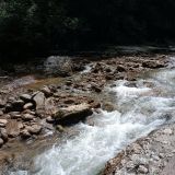 Кубань, фото отдыхающего в августе