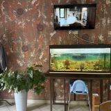 Мини-отель №1 на улице Гагарина, фото гостя