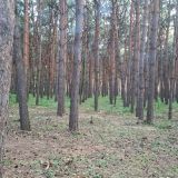 Набережные Челны, фото отдыхающего в июле