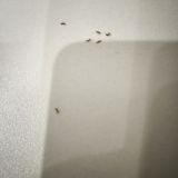 Отель Buta Hotel, фото гостя