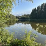 Гостевой дом Домик Охотника, фото гостя
