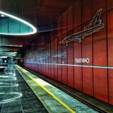 Центральная Россия, фото отдыхающего в июле