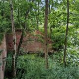 Калининград, фото отдыхающего в июле