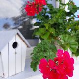 Гостиничный комплекс Подсолнухи, фото гостя