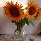 Гостиничный комплекс Подсолнухи, фото гостя