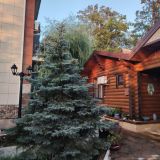 База отдыха Лазурит, фото гостя