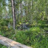 База отдыха Ладога-озеро, фото гостя