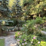 Отель Муссон, фото гостя