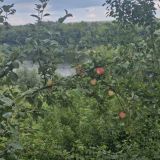 Дачный клуб Хуторок на Оке, фото гостя