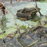 База отдыха Замок, фото гостя