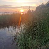 Гостевой дом Тихотут, фото гостя
