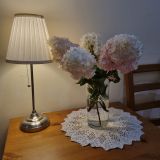 Гостиничный комплекс Подсолнухи, фото гостя