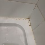 Апарт-отель Золотой Клевер на Горького, фото гостя