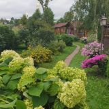 Дивный дворик - Park & Spa Hotel, фото гостя
