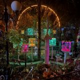 Гостиница Летучая мышь, фото гостя