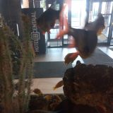 Отель Центральный, фото гостя