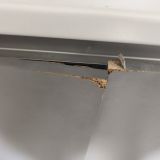 Апартаменты LIKE, фото гостя