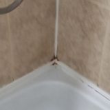 Гостиничный комплекс Селигер, фото гостя