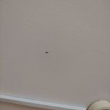 Гостиничный комплекс Селигер, фото гостя