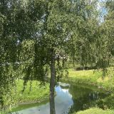 Углич, фото отдыхающего в августе