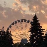 Санкт-Петербург, фото отдыхающего в июле