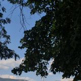 Геленджик, фото отдыхающего в августе