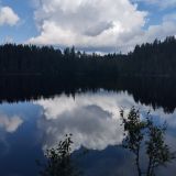База отдыха Заветное, фото гостя